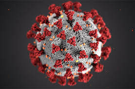 Coronavirus: Spallanzani, iniziata sperimentazione vaccino italiano