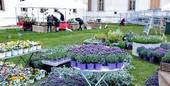 Il giardino del Doge apre a Villa Manin il 1 2e 13 settembre