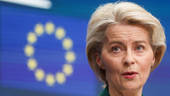Il voto europeo rafforza Von der Leyen. L’Italia resiste allo scossone politico Ue