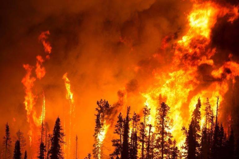 Siccità e incendi: 9mila ettari in fumo negli ultimi sei mesi