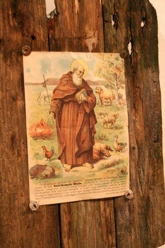 17 gennaio, Sant'Antonio abate: chi era e perché il nostro territorio lo ha rcordato tanto