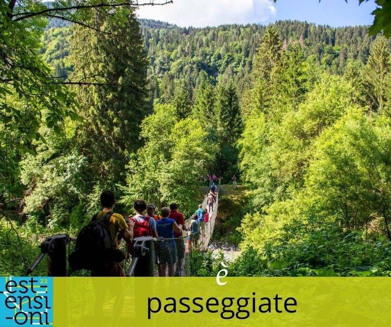 Estensioni: dal 7 al 9 luglio in Val Pesarina