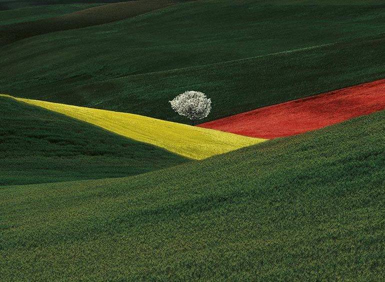 Franco Fontana ospite del Craf lunedi 1 febbraio alle 19