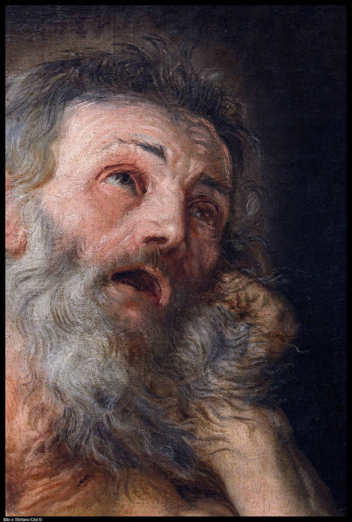 Antonio Carneo, San Girolamo penitente, sec. XVII olio su tela, depositi del Duomo di Santa Maria Maggiore, FotoCiol