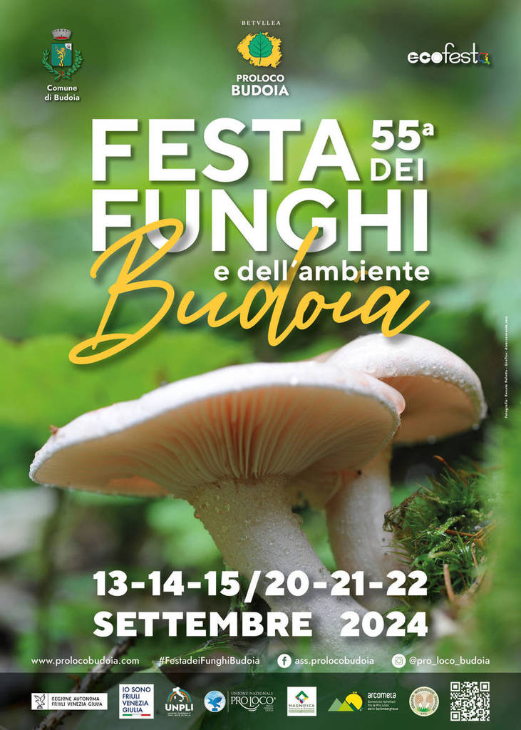 A Budoia la Festa dei Funghi