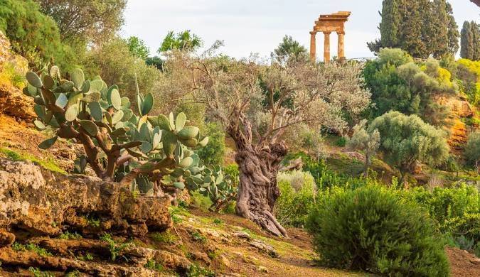 Blanc European Festival tra “Arte e Natura” 