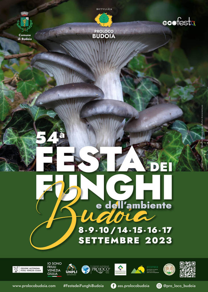  Iscrizioni alla Festa dei Funghi fino al 4 agosto