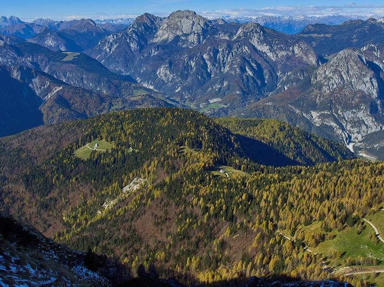 Viabilità forestale