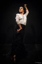 Flamenco Sevilla Viva