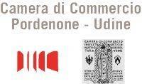 CCIAA Pordenone e Udine: seminario dal 10 al 30 giugno 