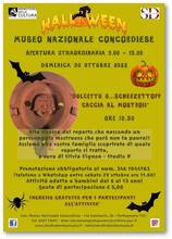 Museo archeologico concordiese di Portogruaro: week end di dolcetti e scherzetti