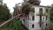 Portogruaro: maltempo sradica 7 alberi alla casa Francescon