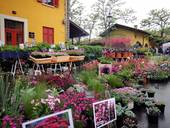 Trieste: il 15 e 16 aprile torna "Horti tergestini"