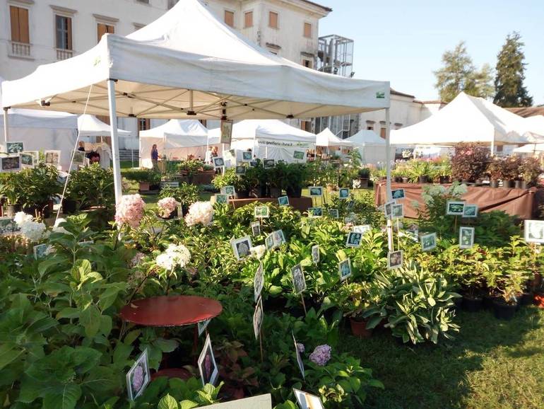 Vila Manin: il 16 e 17 invitati al Giardino del Doge